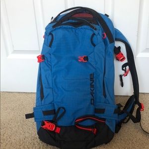 Dakine Special Edition Poacher 22L backpack.